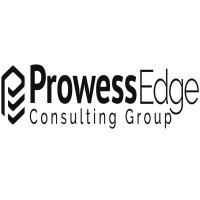 Prowess Edge Consulting Group logo - Similar company to Newtech Computer Services Pvt. Ltd