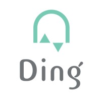 Ding Technology Development Co. logo - Similar company to Setiran ستیران