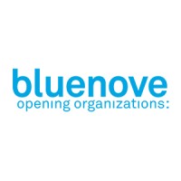 bluenove logo - Similar company to Vodalys