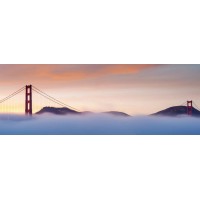 Avalon Global Asset Management, LLC logo - Similar company to Tbf Financial, Llc