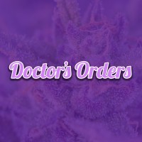 Doctor's Orders Portland Dispensary logo - Similar company to Kannabis Works