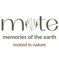 Memories of the earth logo - Similar company to Designnav