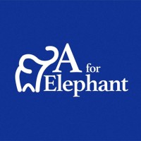 A for Elephant logo - Similar company to The Vyb Buzz