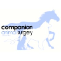 Companion Animal Surgery