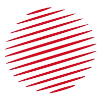 Rizvi Schools logo - Similar company to 300 Software