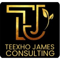 TeexhoJames Consulting logo - Similar company to Webcapz Technologies