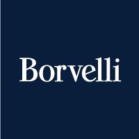 Borvelli logo - Similar company to Birg Technology
