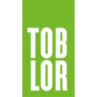TOBLOR Consulting logo - Similar company to Diamon