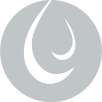 Macel plin logo - Similar company to Pico Flow Controls
