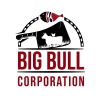 Big Bull Corporation LLC logo - Similar company to Bitpure
