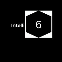 Intelli 6 logo - Similar company to Devtier