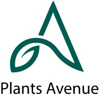 Plants Avenue