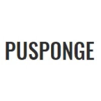 Sponge foam supplier manufacturer logo - Similar company to Eva Cases