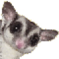 Sugar Gliders logo - Similar company to Wheel Solutions Ltd