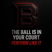 The Ball Is In Your Court LLC logo - Similar company to Pignite