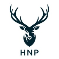 HNP Solutions Group logo - Similar company to Brand Reveller