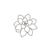 Echeveria Organic logo - Similar company to Epikone
