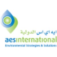 Aes International Consultants