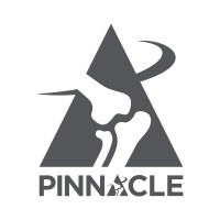 Pinnacle, Inc. logo - Similar company to Cognitive Kinetics