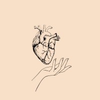Open Hearts logo - Similar company to Open Hearts Foundation