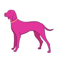 Lazy Dog Dex logo - Similar company to Movecoach
