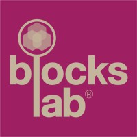 BlocksLab® | End-to-End Omnichannel Commercialization 🌍 logo - Similar company to Tech On The Rocks
