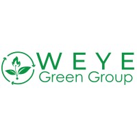 WEYE Green Group logo - Similar company to Women In Clean Energy (Wice) Africa