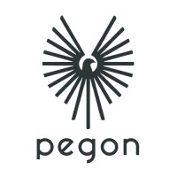 PEGON PROJE YÖNETİMİ VE MÜHENDİSLİK LTD ŞTİ logo - Similar company to Time365