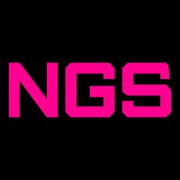Native Games Studio logo - Similar company to Telemetrio
