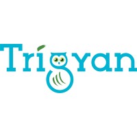 Trigyan logo - Similar company to Liveprojects123