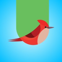 Flycatcher Toys logo - Similar company to Yookidoo