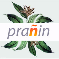 Pranin Life logo - Similar company to Medi Era Life Science