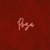 POZA logo - Similar company to Foza Sa