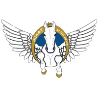 Advanced Modeling Aeronautics Team logo - Similar company to Reynolds Systems, Inc