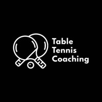 Table Tennis Coaching logo - Similar company to Now Comms Malaysia