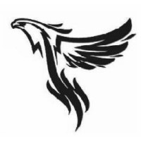 Fenix Capital HFT logo - Similar company to Hft Consultancy