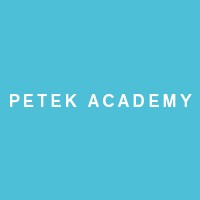 Petek Academy logo - Similar company to Petek 1855