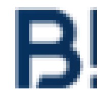 Bipolar Brains logo - Similar company to Bipolar Harmony