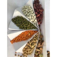 PULSES IMPORTER INDIA logo - Similar company to Pulses Splitting & Processing Industry (Pvt) Ltd