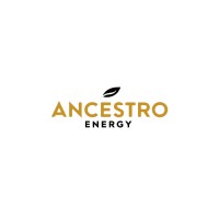 Ancestro Energy logo - Similar company to Ot Ingenieria S.A.S.