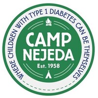 Camp Nejeda Foundation logo - Similar company to Camp Towanda