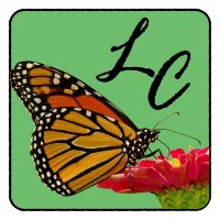 Life Recovery Solutions logo - Similar company to Hatchet Hall