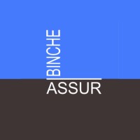 Binche Assurances Binche Immo Sprl