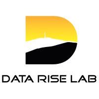 DataRiseLab logo - Similar company to Data Community Poland