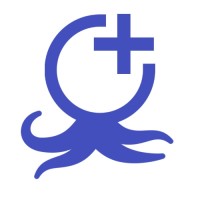Octoplus Network logo - Similar company to Octoplus Solutions