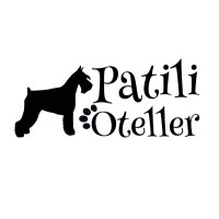 patilioteller.com logo - Similar company to Rawda Resort Hotel Altinoluk