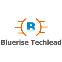 Bluerise Techlead logo - Similar company to Archivehub.Io