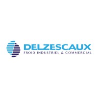 DELZESCAUX logo - Similar company to Strate Composites