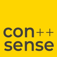 consense logo - Similar company to Consense Itn