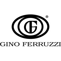 GINO FERRUZZI S.R.L. logo - Similar company to Selint Srl